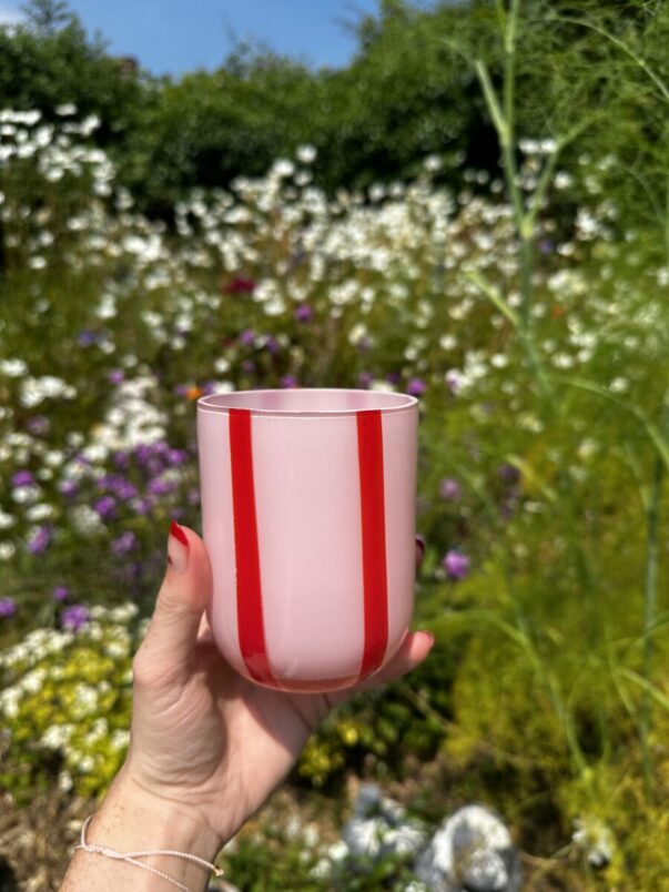 Atina Stripe Glass | Red & Pink